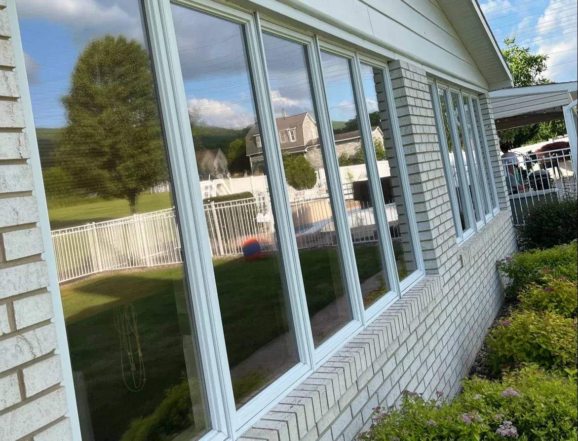 Row of clear residential windows reflecting trees and blue sky